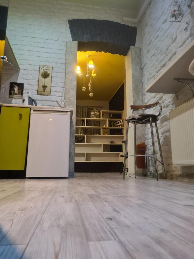 Cozy Compact Flat In The City Center Lviv Kültér fotó